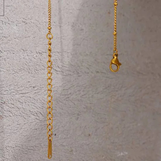 WhatsApp Image 2025-11-25 at 11.24.26 PM