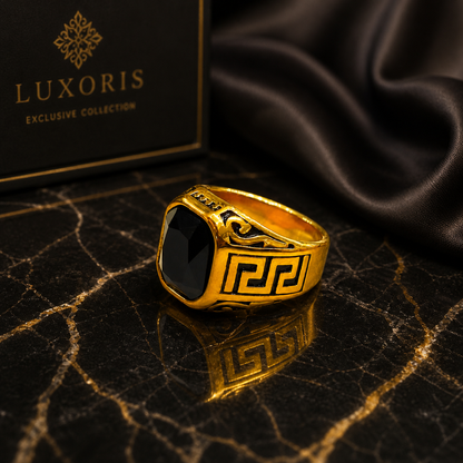 Premium Black/Silver Stone Ring