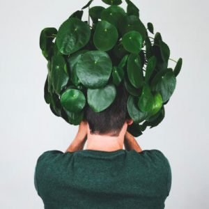 Plants Store Gallery Img 3 300x300 4